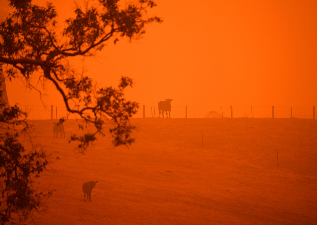 Catastrophic bushfires in Australia continue